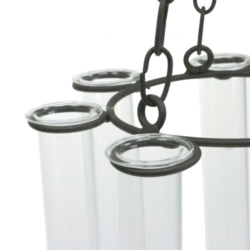 Floristik24 Provetta ghirlanda sospesa Ø18cm