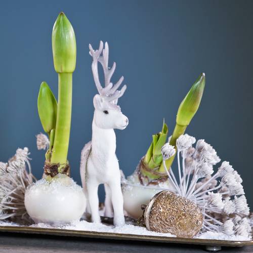 Floristik24 Addobbi per albero di Natale ghianda da appendere metallo vetro oro 7cm 4 pezzi