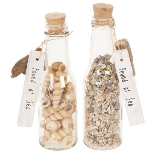 Decorazione per bottiglia in vetro con conchiglie e ciondolo, decorazione da tavola a tema marittimo, 17 cm, 2 pezzi acquistare | Floristik24.it