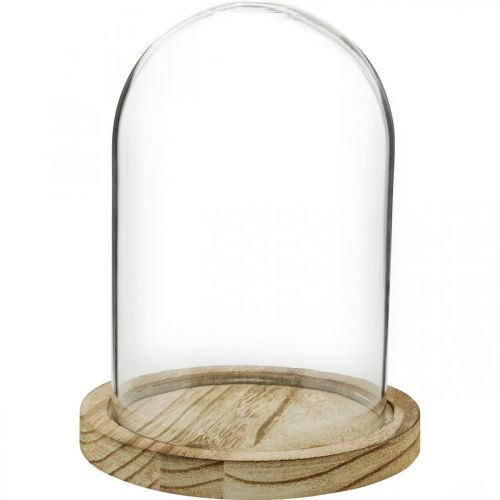 Prodotto Campana decorativa, cupola in vetro con piatto in legno, decorazione da tavolo H16cm Ø12,5cm