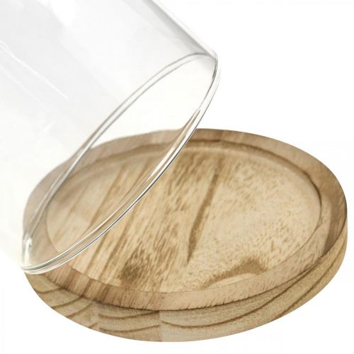 Prodotto Campana decorativa, cupola in vetro con piatto in legno, decorazione da tavolo H16cm Ø12,5cm