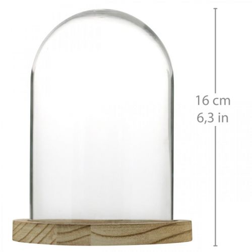 Prodotto Campana decorativa, cupola in vetro con piatto in legno, decorazione da tavolo H16cm Ø12,5cm