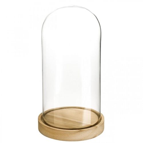 Floristik24 Campana in vetro con piatto, cupola in vetro, decoro cappa in vetro H21cm