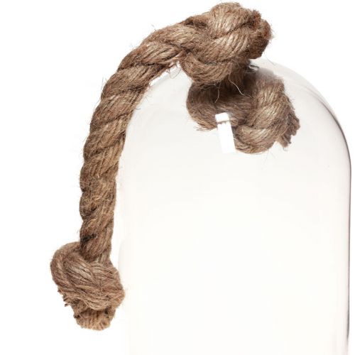 Floristik24 Decorazione campana in vetro con base effetto cemento Ø13,5cm H24cm