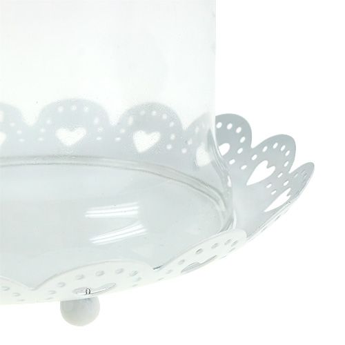 Floristik24 Cappa in vetro con piastra Ø15,5cm H17cm bianco