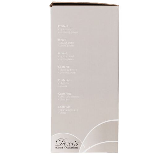 Caraffa in vetro alta 27 cm con 4 bicchieri alti 11 cm | Floristik24.it