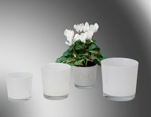 Floristik24 Secchio in vetro bianco