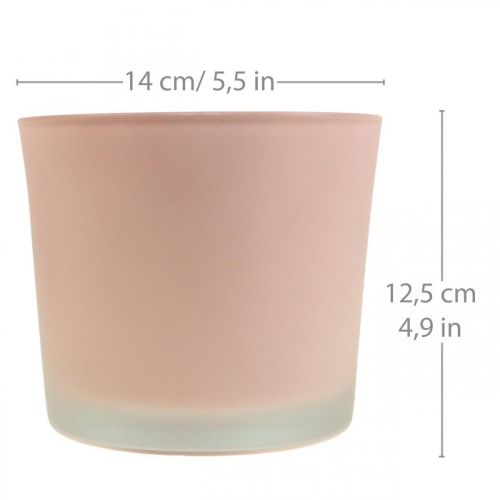 Fioriera in vetro vaso in vetro rosa Ø14,5 cm H12,5 cm