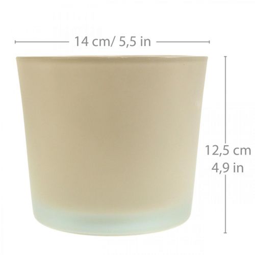 Prodotto Vaso da fiori in vetro fioriera beige in vetro Ø14,5 cm H12,5 cm