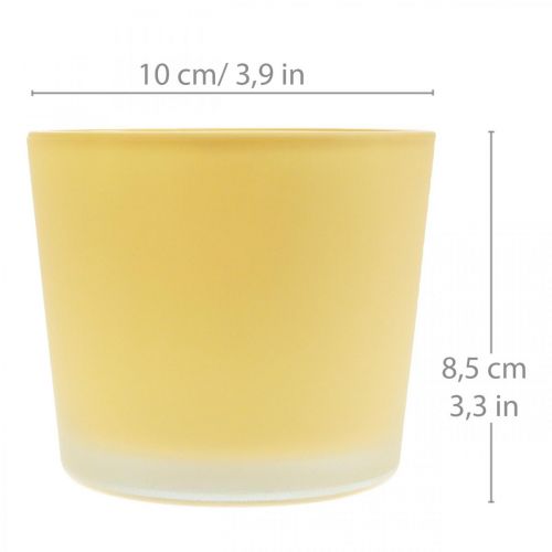 Prodotto Vaso per fiori in vetro fioriera gialla vasca in vetro Ø10cm H8.5cm