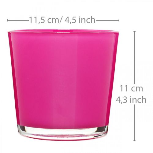 Floristik24 Vaso in vetro, fioriera rosa Ø11,5cm H11cm