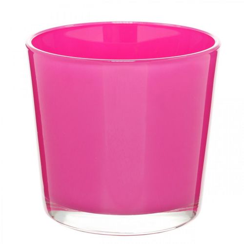 Floristik24 Vaso in vetro, fioriera rosa Ø11,5cm H11cm