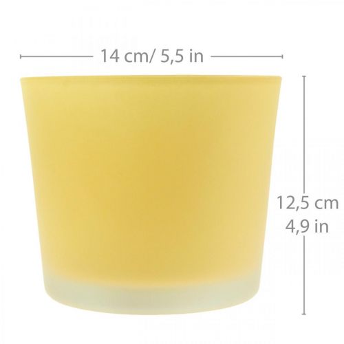 Prodotto Vaso per fiori in vetro vaso per piante giallo vasca in vetro Ø14,5 cm H12,5 cm