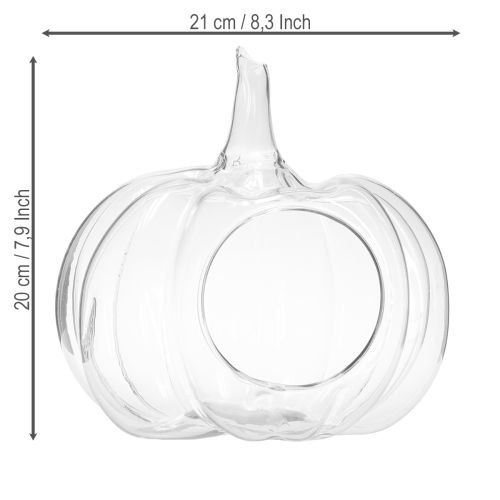 Prodotto Zucca di vetro con apertura, decorazione autunnale, zucca, trasparente, Ø21 cm, H20 cm