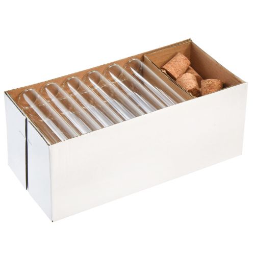Floristik24 Mini vasi tubi di vetro decorativi in vetro con tappi di sughero H11,5 cm 24 pz