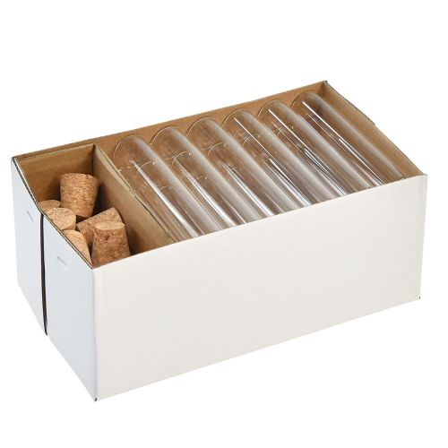 Floristik24 Provetta tubi di vetro decorativi mini vasi in sughero H13cm 24 pz