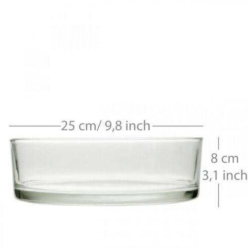 Floristik24 Ciotola in vetro Ø25cm H8cm