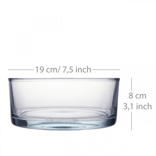 Floristik24 Ciotola in vetro Ø19cm H8cm