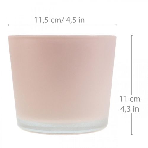 Fioriera in vetro vaso in vetro rosa Ø11,5 cm H11 cm
