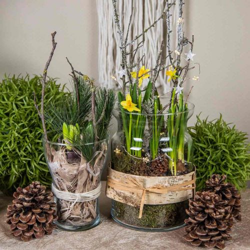 Floristik24 Vaso in vetro trasparente vaso decorativo lanterna in vetro vaso di fiori Ø18cm H25cm