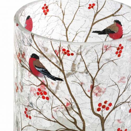 Floristik24 Lanterna Ciuffolotto Crackle Trasparente Ø9cm H10cm