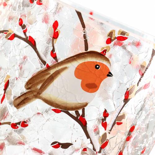 Floristik24 Lanterna Robin Crackle Trasparente Ø9cm H10cm
