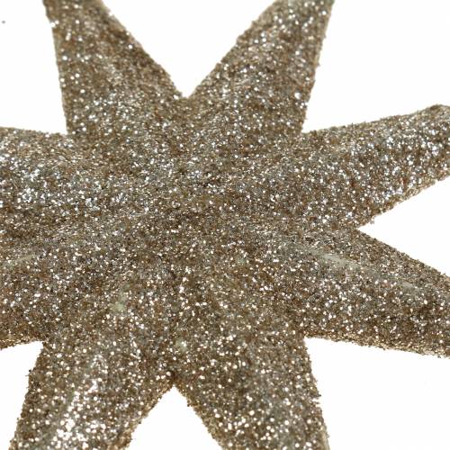 Prodotto Stella per la decorazione Glitter Champagne 10cm 12pcs