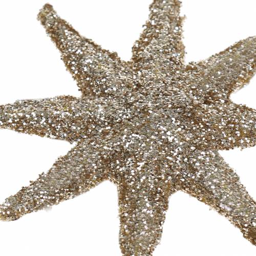 Floristik24 Stella decorativa glitter champagne 5 cm 20 pz