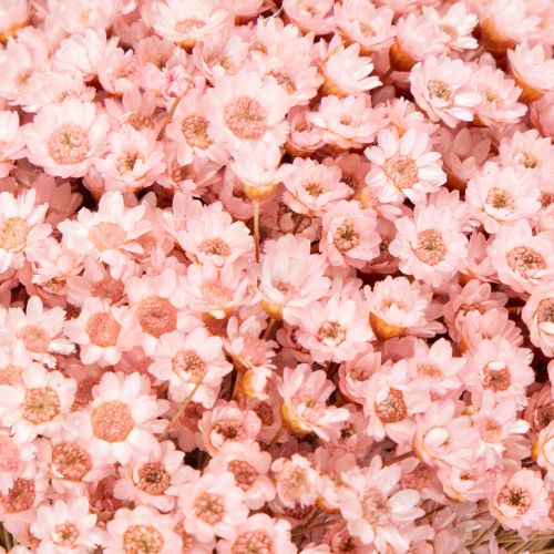 Prodotto Bouquet di fiori decorativi, ideale per la primavera, la Pasqua e le occasioni festive, 44 cm