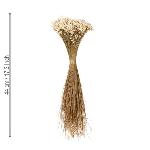 Prodotto Bouquet di fiori secchi, delicati fiori per la decorazione naturale della casa, 44 cm
