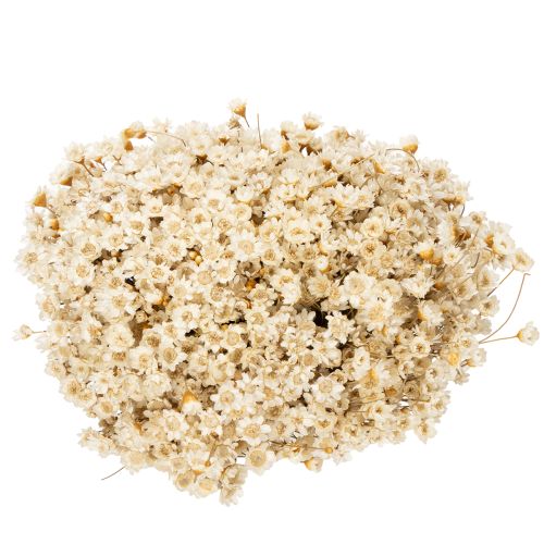 Prodotto Bouquet di fiori secchi, delicati fiori per la decorazione naturale della casa, 44 cm