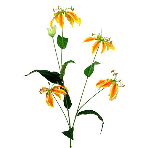 Floristik24 Ramo Gloriosa giallo-arancio 90cm 1pz