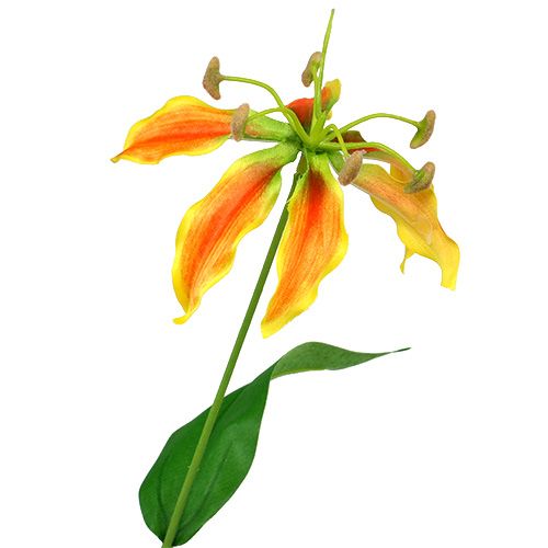 Floristik24 Ramo Gloriosa giallo-arancio 90cm 1pz