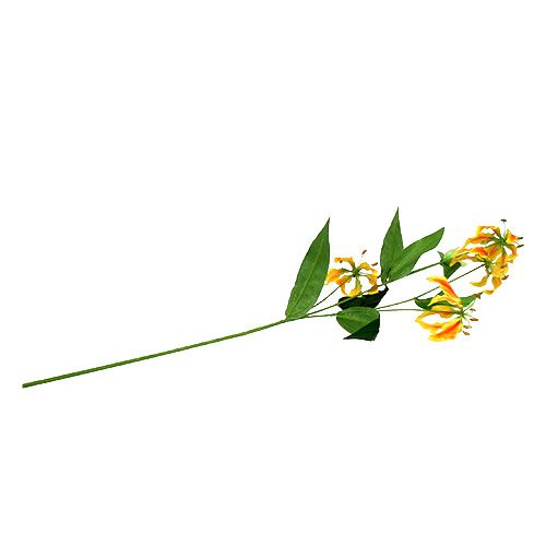 Floristik24 Ramo Gloriosa giallo-arancio 90cm 1pz