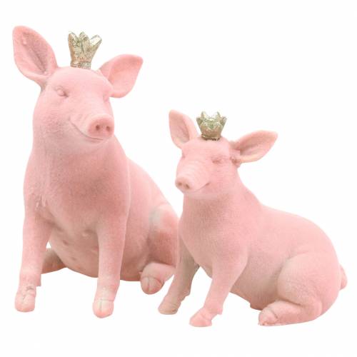 Floristik24 Set di figure decorative maiale fortunato con corona d'oro 12 × 7 × 13 cm / 9,2 × 5,5 × 10 cm 2 pezzi