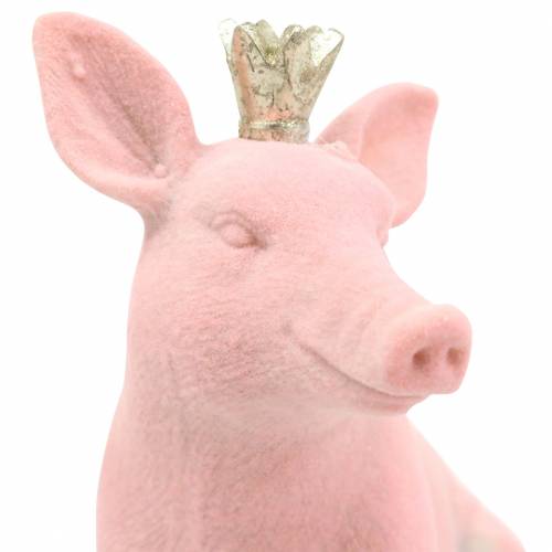 Floristik24 Set di figure decorative maiale fortunato con corona d'oro 12 × 7 × 13 cm / 9,2 × 5,5 × 10 cm 2 pezzi