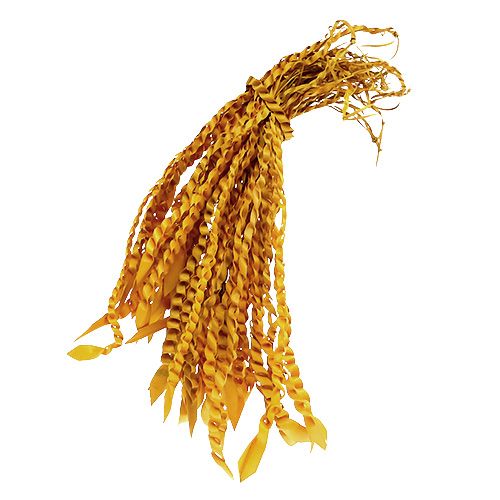 Prodotto Viticcio d&#39;oro Giallo dorato 50pz