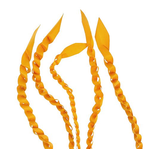 Prodotto Viticcio Oro Giallo Dorato 50 pz