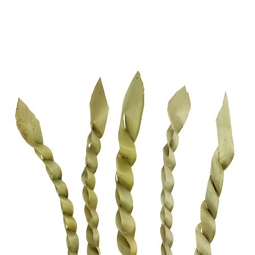 Prodotto Viticcio d&#39;oro natura 50 pz