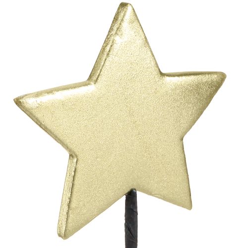 Prodotto Tappi decorativi a forma di stella dorata Ø7cm 2a scelta 24 pz
