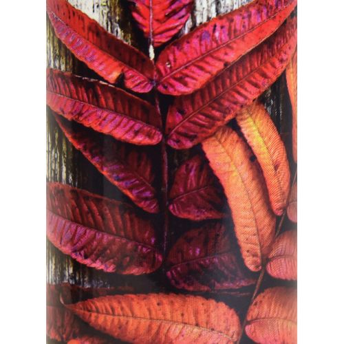 Floristik24 Candele funerarie lutto candele motivi autunnali colore Ø6cm H20cm 6 pezzi