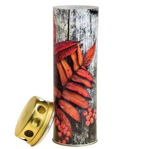 Floristik24 Candele funerarie lutto candele motivi autunnali colore Ø6cm H20cm 6 pezzi