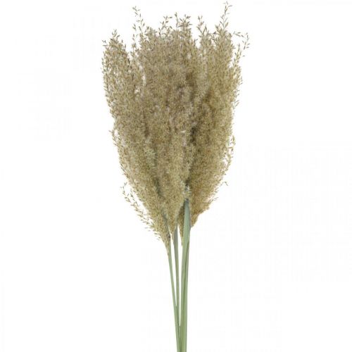 Floristik24 Erba ornamentale in erba secca per decorazione floristica secca natura H55cm