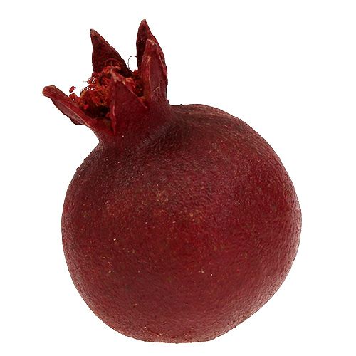 Floristik24 Melograni 250g