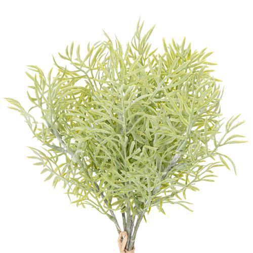 Ramo ornamentale di asparagi, aggiunta naturale ai bouquet di fiori, 34 cm, 7 pezzi