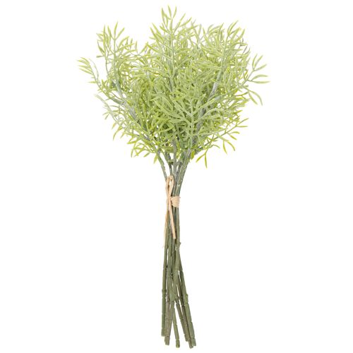 Prodotto Ramo ornamentale di asparagi, aggiunta naturale ai bouquet di fiori, 34 cm, 7 pezzi