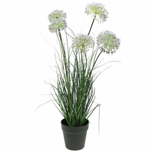 Floristik24 Erbe i fiori artificiali in vaso Viola 70cm