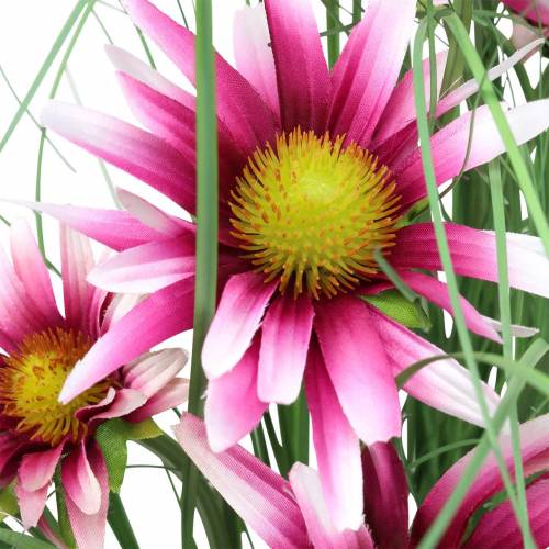 Floristik24 Erba con echinacea artificialmente in una pentola rosa 63 cm