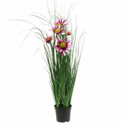 Floristik24 Erba con echinacea artificialmente in una pentola rosa 63 cm