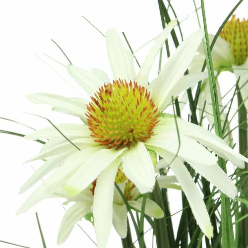 Floristik24 Erba con echinacea artificialmente nel vaso bianco 52 cm